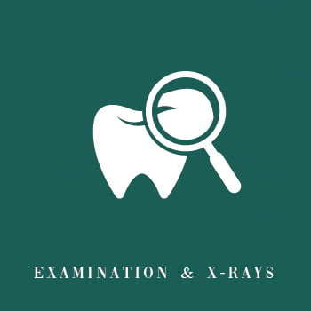 Examination-Xray